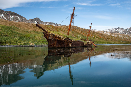 Ocean Harbour, South Georgia, Stas Zakharov